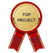 Top Project icon